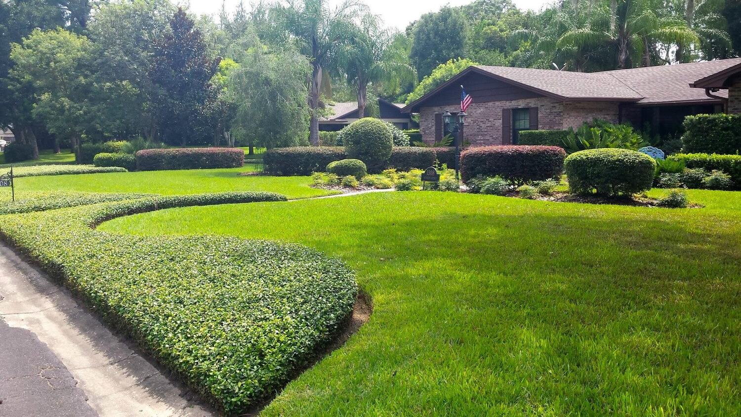Lawn care and hedge trimming