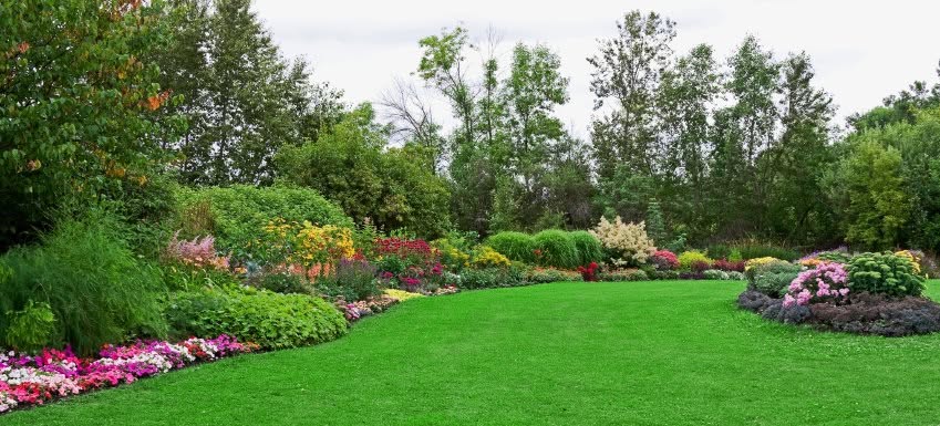 Lawn and flower maintenance