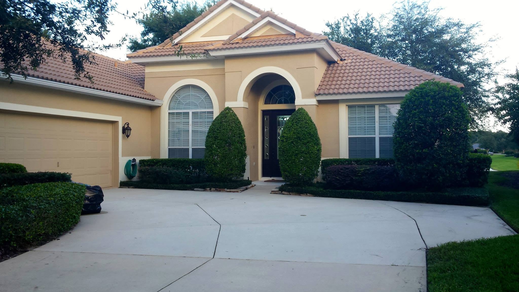 Lawn, hedge and bush trimming